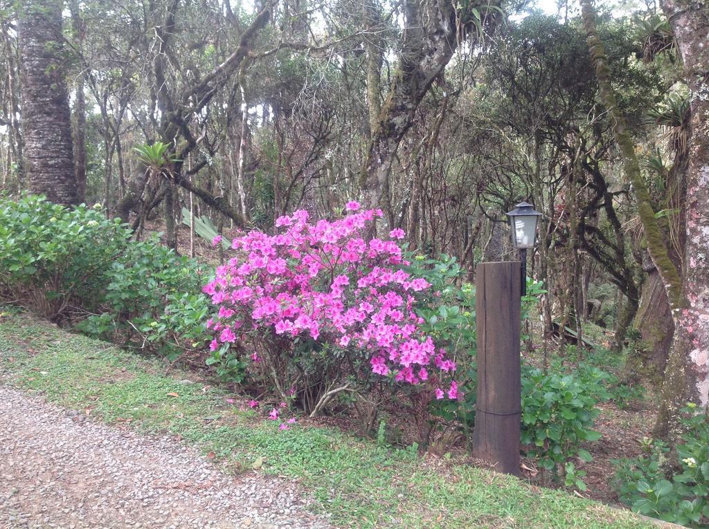 Chales Do Ferradura Campos do Jordão Exterior foto